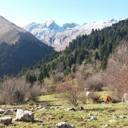 Archontiko Velousi بيت ضيافة Pantévgeni
