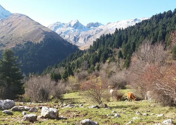 Archontiko Velousi Vendégház Athamanía